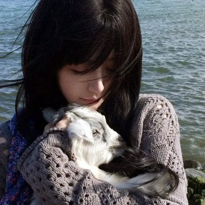 干支魂：猫客万来